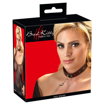 Leash and Collar