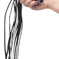 Leather Whip