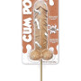 Chocolate Flavoured Cum Pops