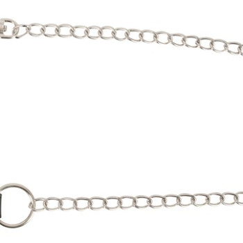 Pussy Clamp with a leash
