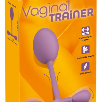 Vaginal Trainer with Bouncing Weights