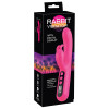 Pink Sunset Rabbit Vibrator