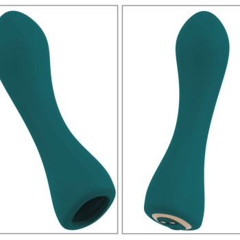 RC Mini Vibrator with 4 Attachments