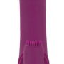 2 Function Vibrator