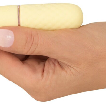 Mini Vibrator