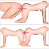 2in1 Vibrator + Butt Plug
