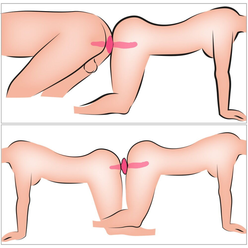 2in1 Vibrator + Butt Plug