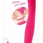 Double Vibrator