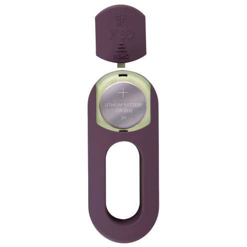 ARIVA RC Panty Vibrator