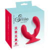 Dual Vibrator