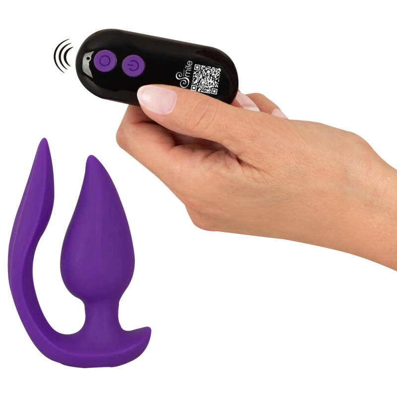 RC 2 in 1 Plug & Panty Vibe