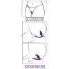 RC 2 in 1 Plug & Panty Vibe