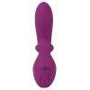 Vibrator With Double Rotation