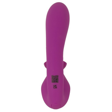 Vibrator With Double Rotation