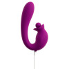 Vibrator With Double Rotation