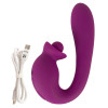 Vibrator With Double Rotation