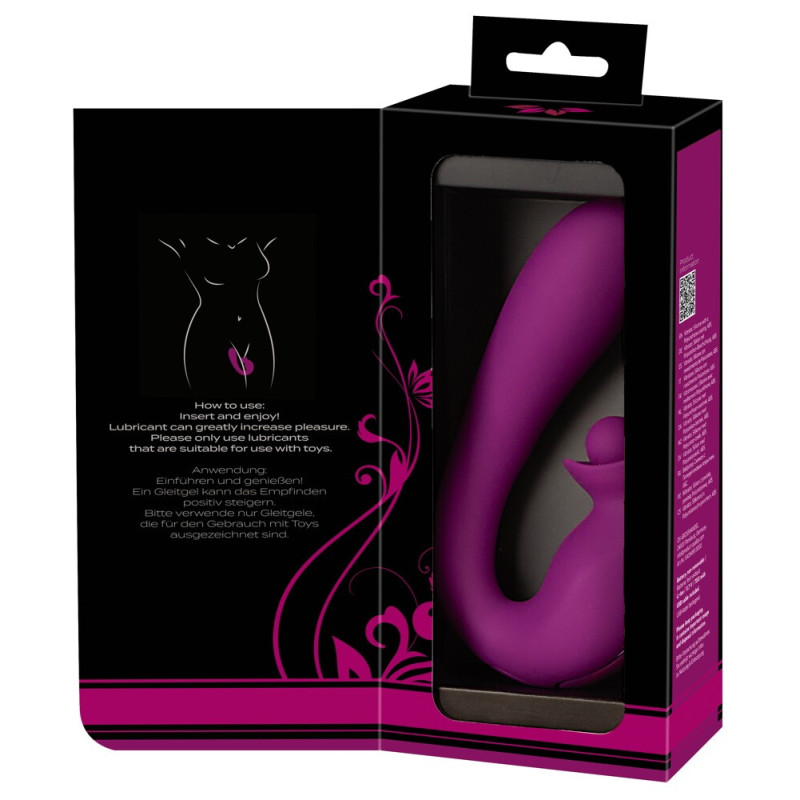 Vibrator With Double Rotation