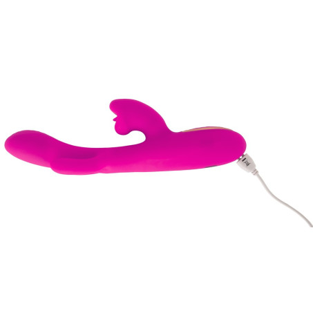 Dual Swing Vibrator