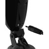 Dirty Talk Starter Stroker