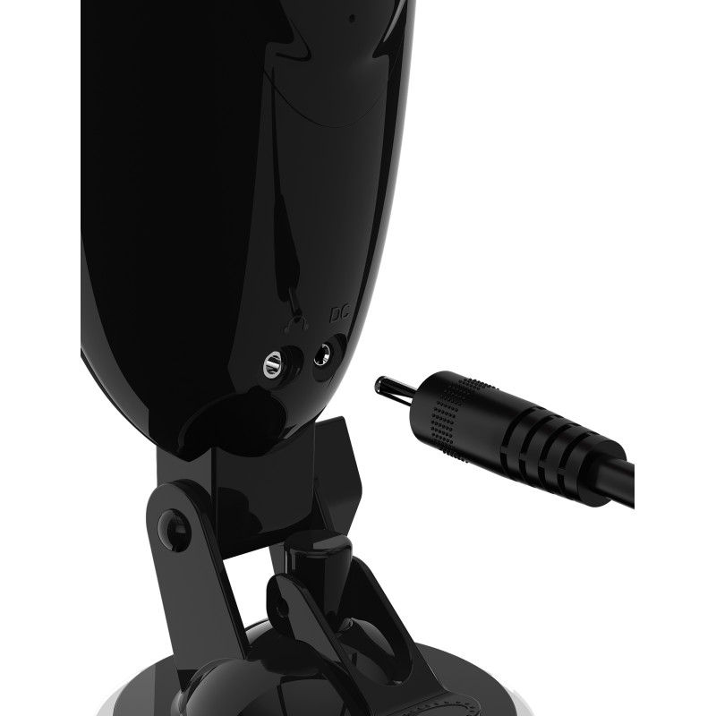 Dirty Talk Starter Stroker