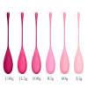  Adalet Kit 6 Kegel Balls Silicone