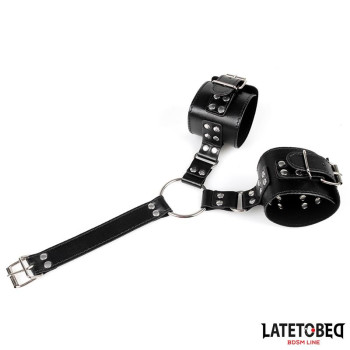  Collar and Wirst Restraints