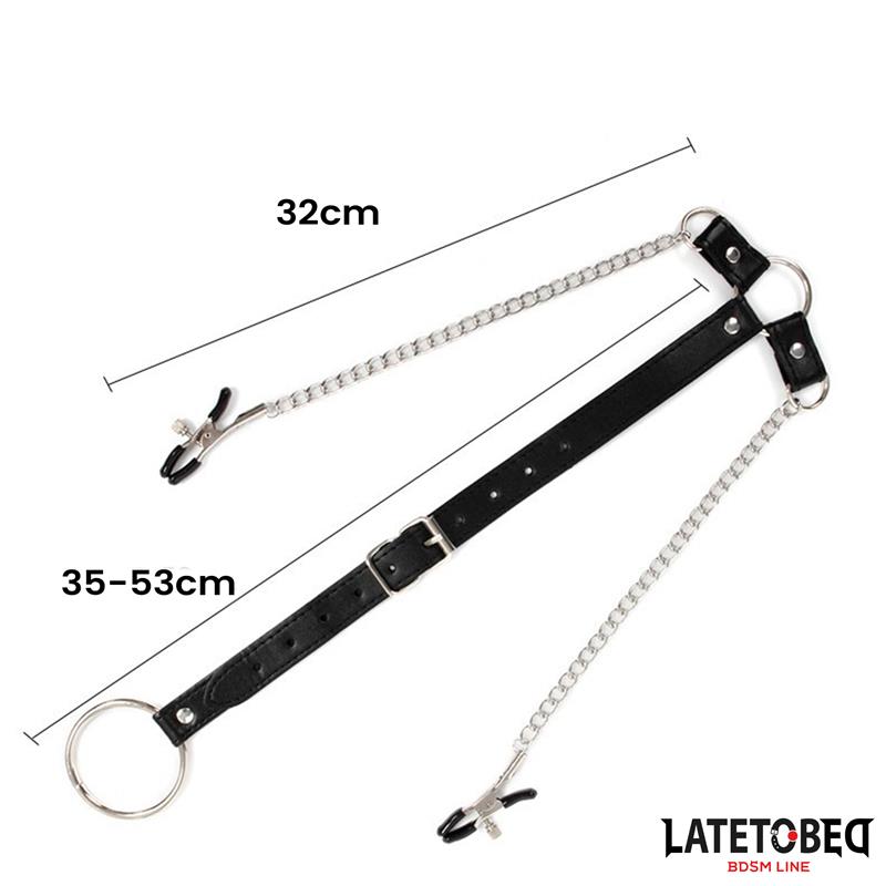  Nipple Clamps With Penis Ring