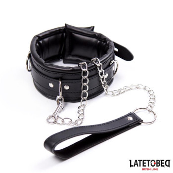  Padded Collar with Leash