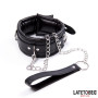 Padded Collar with Leash