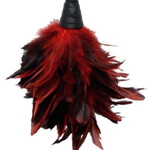 Fetish Fantasy Series Frisky Feather Duster - Red