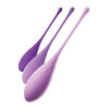 Fantasy For Her
Kegel Train-Her Set