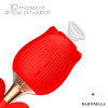 Rose with Suction and Vibe 2 in 1