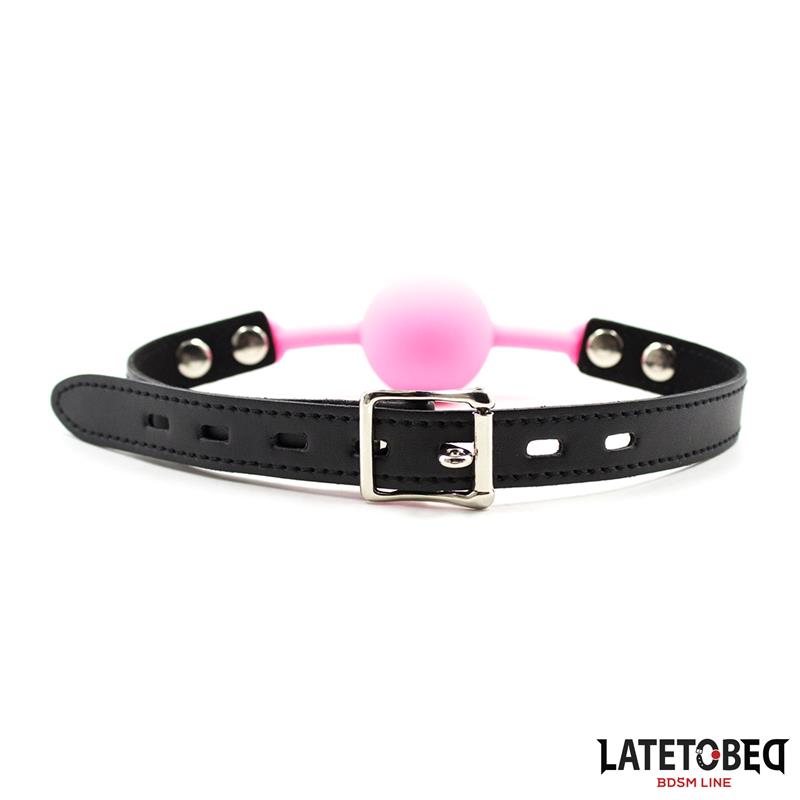  Silicone Ball Gag Pink