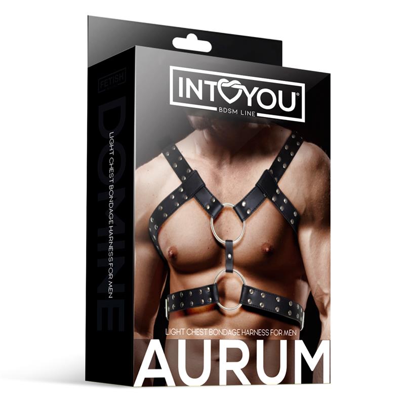 INTOYOU Aurum Light Chest Bondage Harness Men