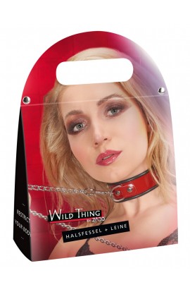 Collar plus Leash Red