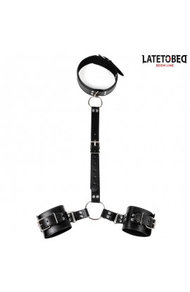  Collar and Wirst Restraints