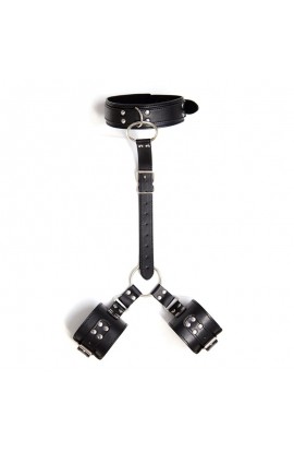  Collar with Restraints Adjustable Black