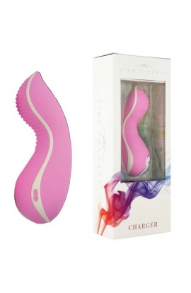 Charger – Bleikur